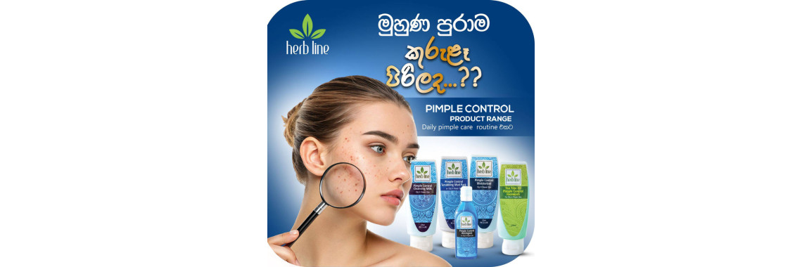 Best Cream for Pimples in Sri Lanka – Herbline Pimple Control Moisturizer Review