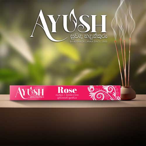 Rose Fragrance Incense Sticks Rose Fragrance Incense Sticks