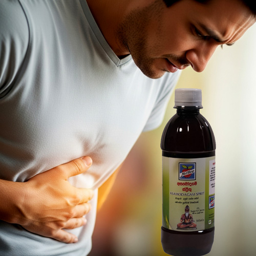 Mr.Hop Asamodagam Spirit 385ml Mr.Hop Asamodagam Spirit 385ml